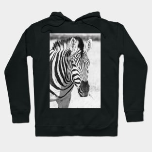 Zebra portrait. Hoodie